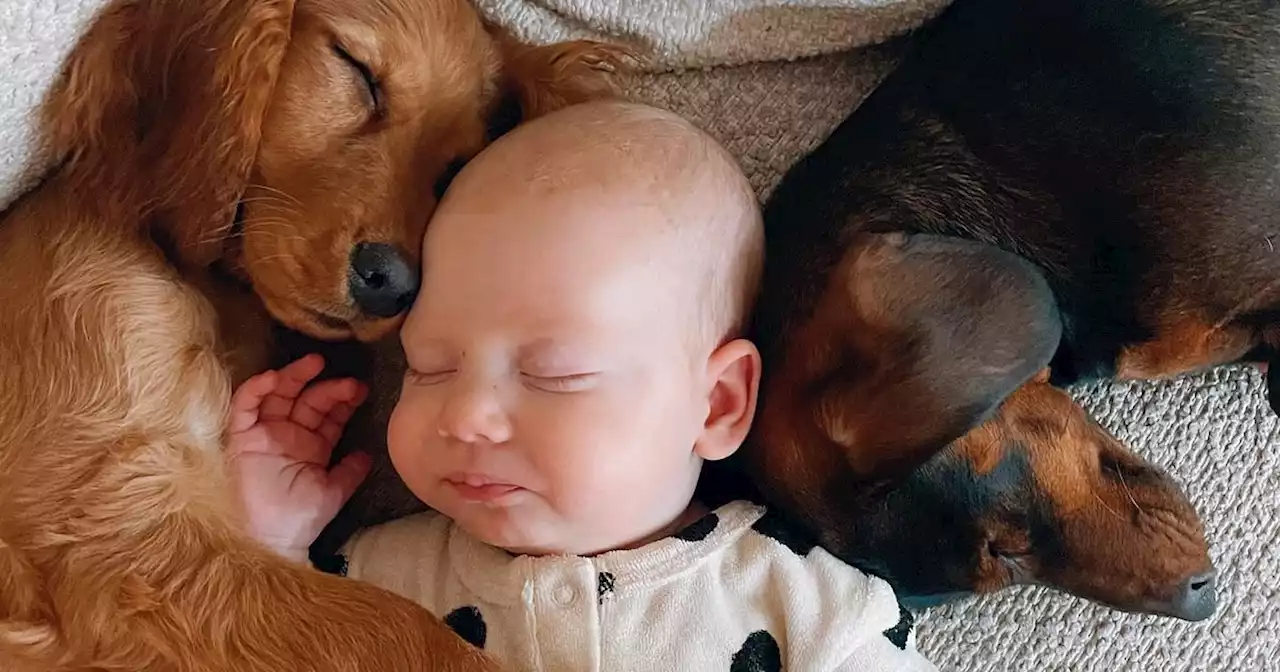 Stacey Solomon addresses concerns over letting baby Rose sleep next to pet dogs