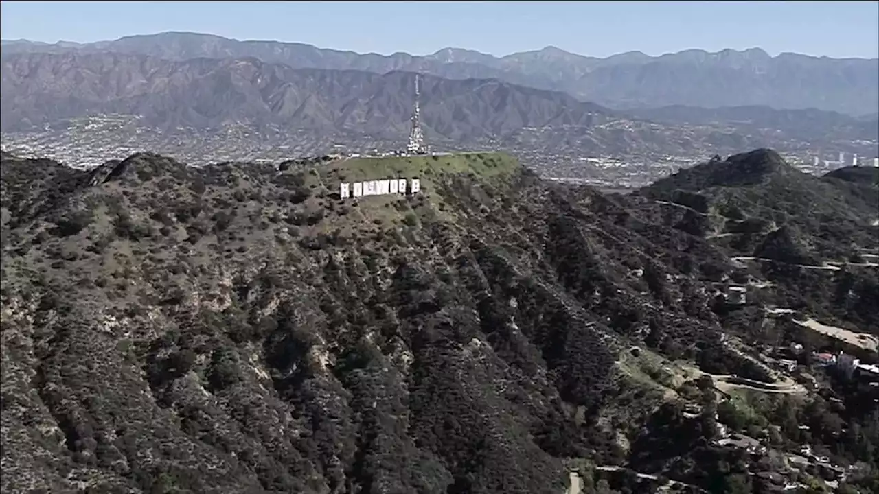 Watch: LA Celebrates the Super Bowl Champion Rams With a Victory Parade