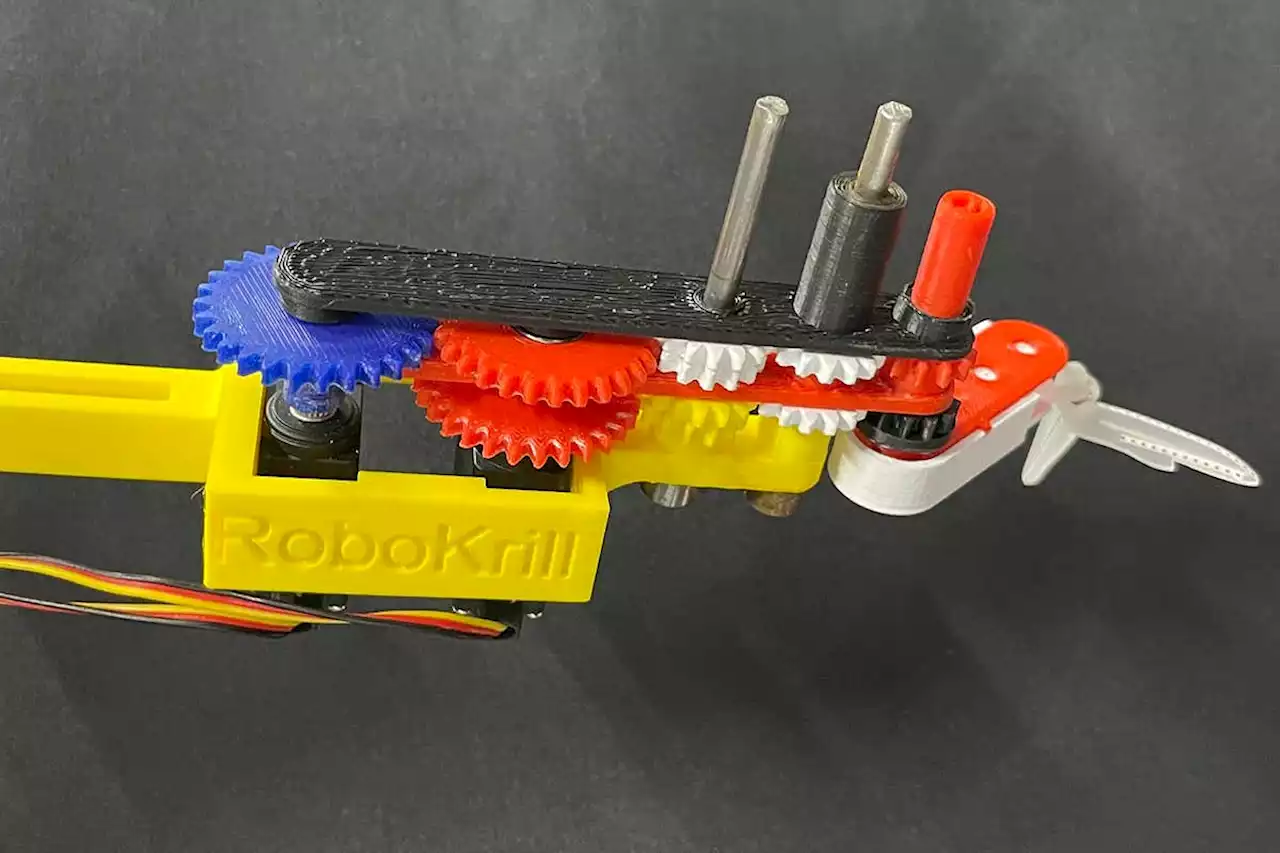 RoboKrill is a one-legged robot that mimics the way krill swim