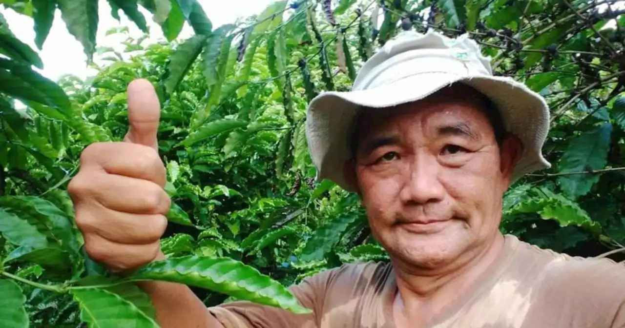 Sabah tour guide Tham Yau Kong to receive MBE from the Queen | New Straits Times