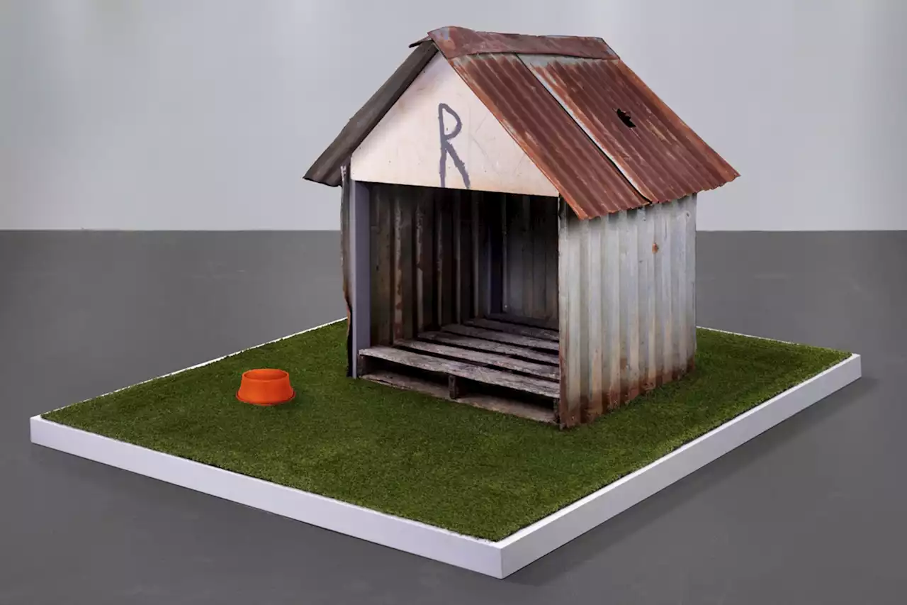 Doghouse hit by meteorite expected to fetch over $200,000 at auction