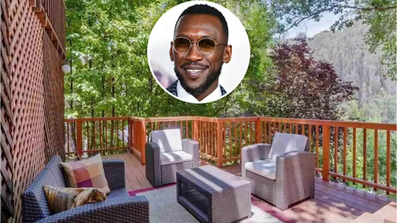 Photos: Oscar-winning actor Mahershala Ali picks up peaceful East Bay bungalow