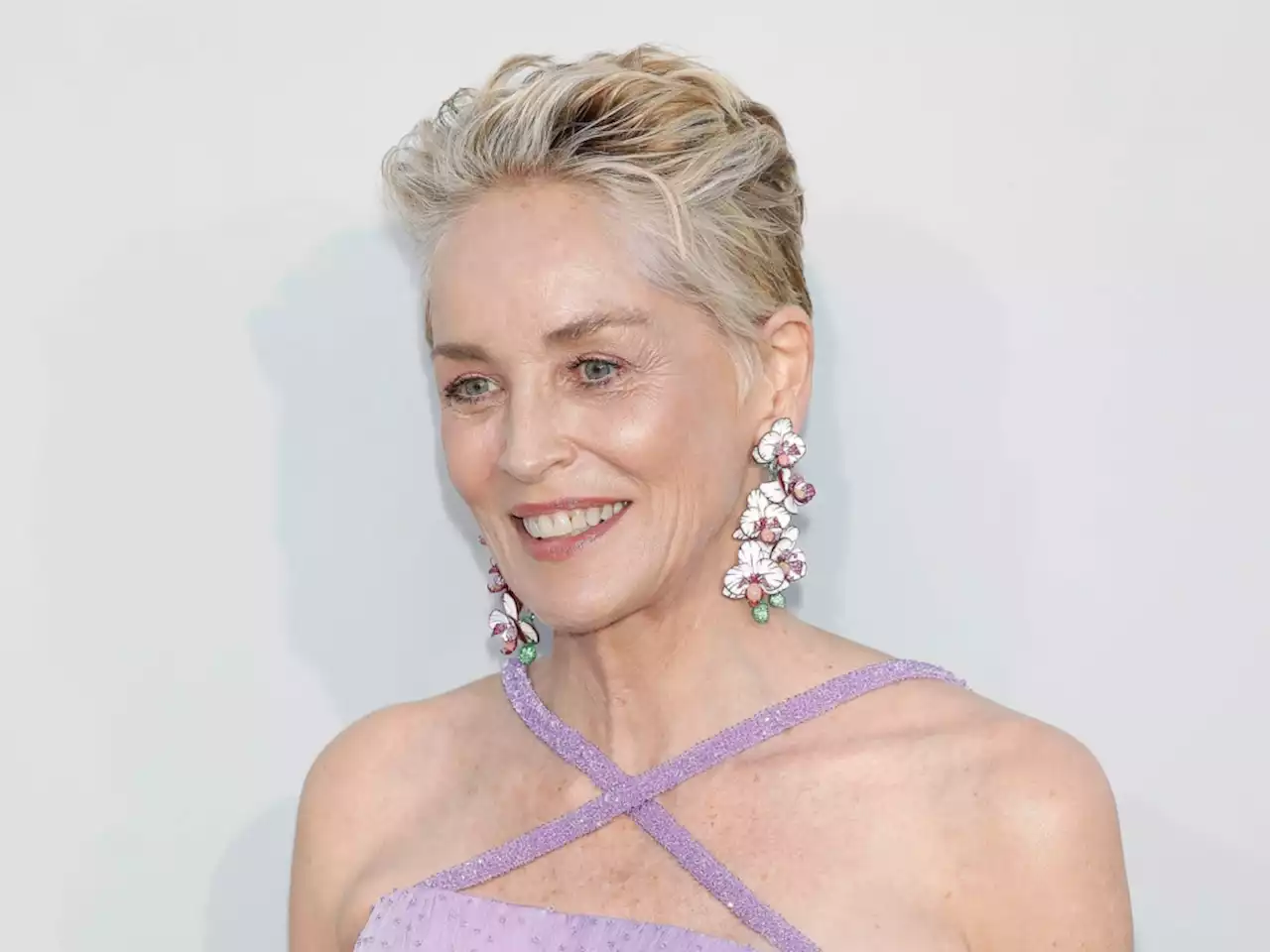 Sharon Stone Just Confirmed Her & Michael Douglas' Very, Very Different Paychecks For 'Basic Instinct'