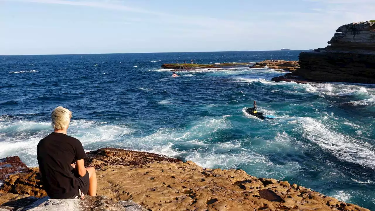 First fatal shark attack to hit Sydney in 60 years leaves human remains in the water