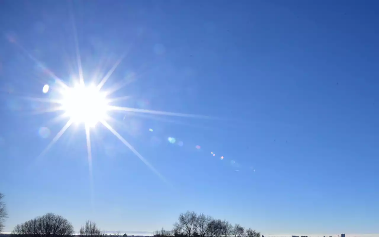 Meteo, dopo la neve sboccia la primavera