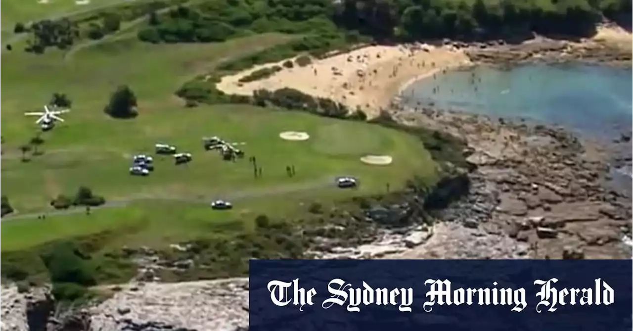 ‘Catastrophic injuries’: Swimmer dies after shark attack at Sydney beach