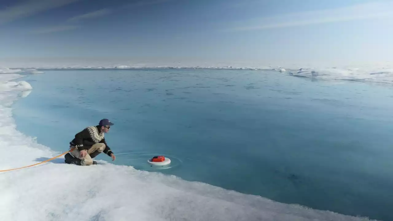 Historic sea level rise predicted by NASA and government task force