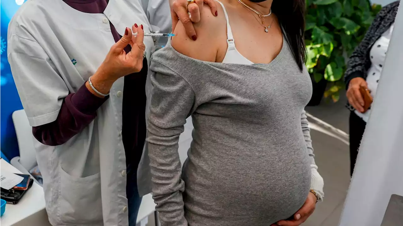 CDC Finds Getting Vaxxed During Pregnancy Can Protect Babies From COVID