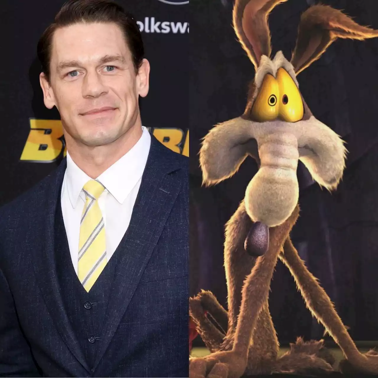 John Cena to Star in ‘Coyote vs. Acme’ for Warner Bros.