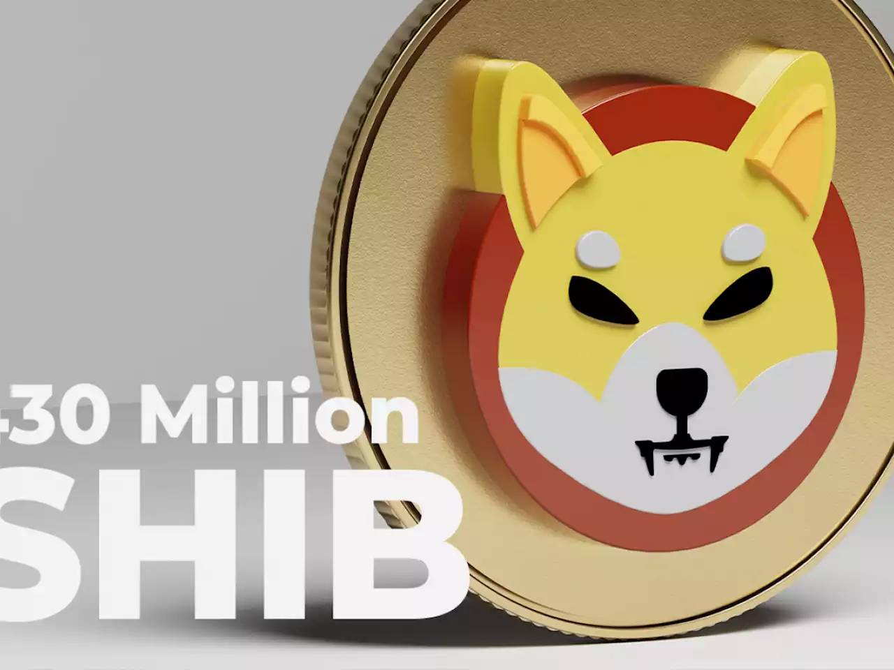 430 Million SHIB Burned, While This SHIB Burner Plans New Ways of Destroying Tokens