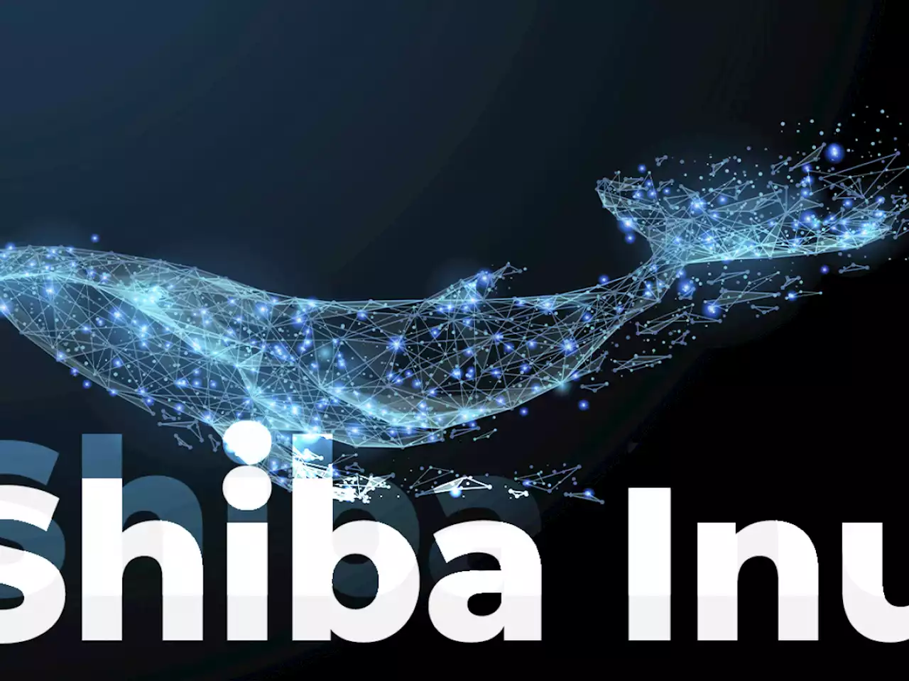 Shiba Inu Whale with 2 Trillion Tokens Diversifies Portfolio to Other Altcoins: Here They Are