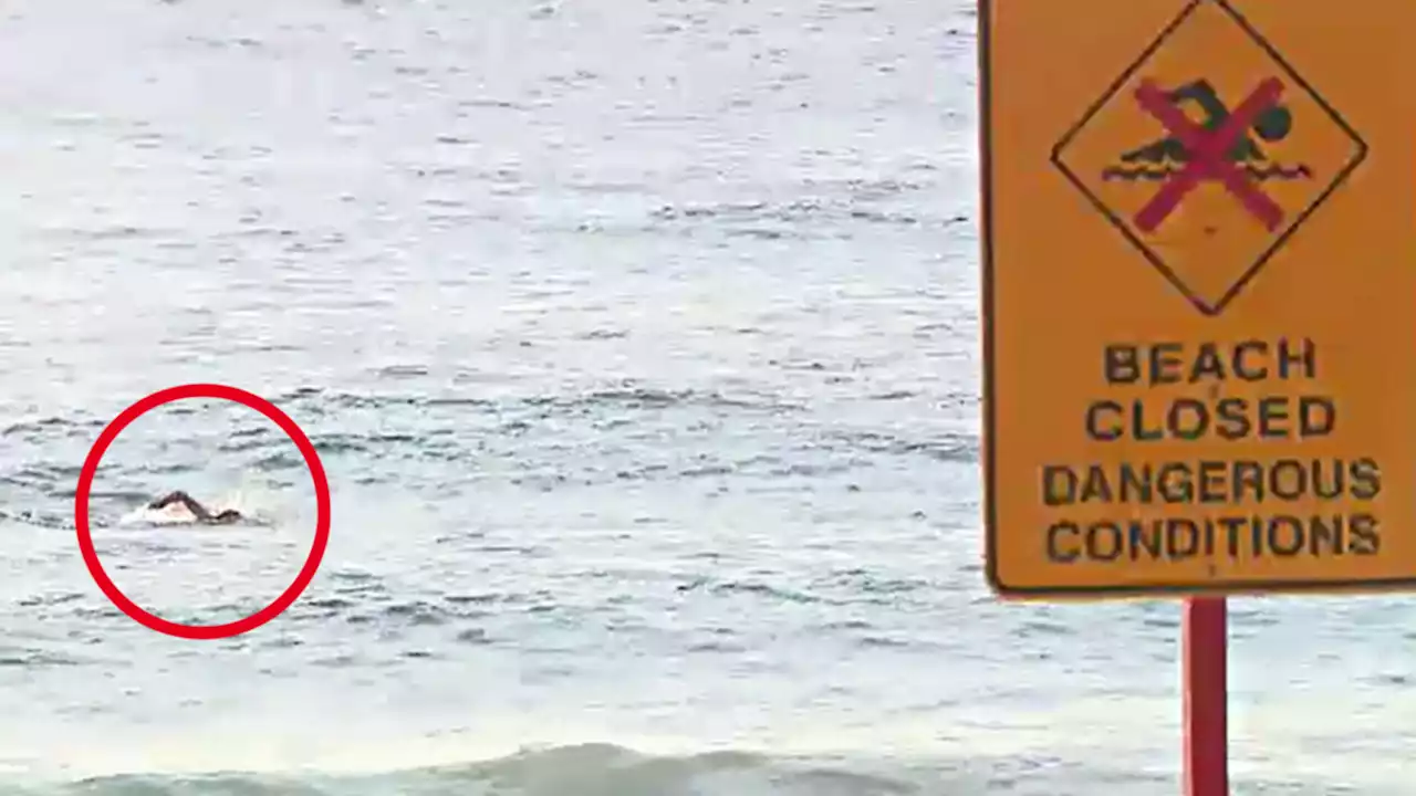 Swimmers ignore order to stay out of water after deadly shark attack