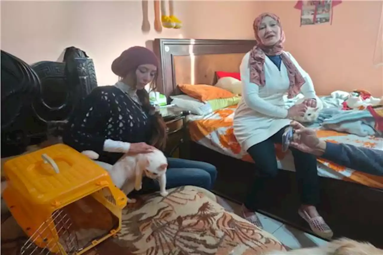 أسرة «الرحمة» في طنطا.. تربية القطط أهم من الزواج