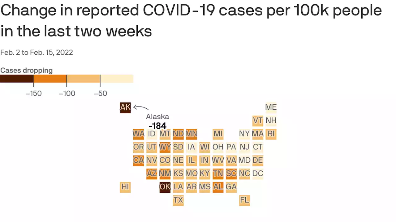 COVID cases plummet all across the U.S.