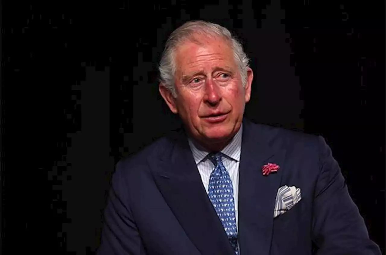 UK police launch probe into Prince Charles' charity | Channel