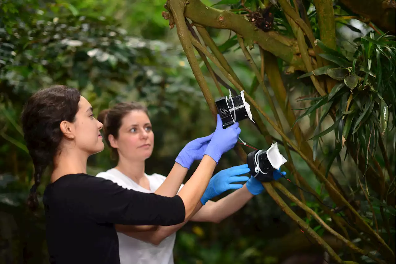 Scientists Are Vacuuming Animal DNA Out of the Air