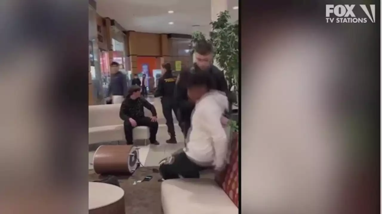 Cops only handcuff Black teen in mall fight in New Jersey