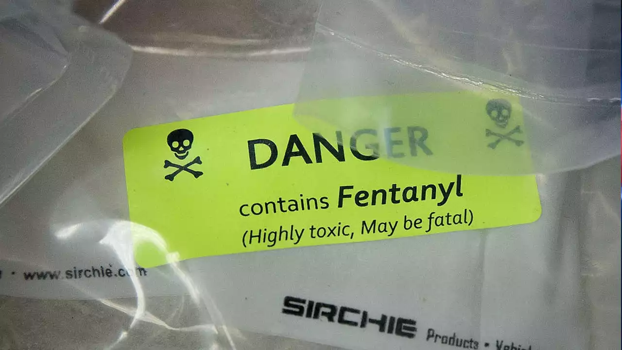 Fentanyl dealers linked to Bronx overdoses charged by Feds