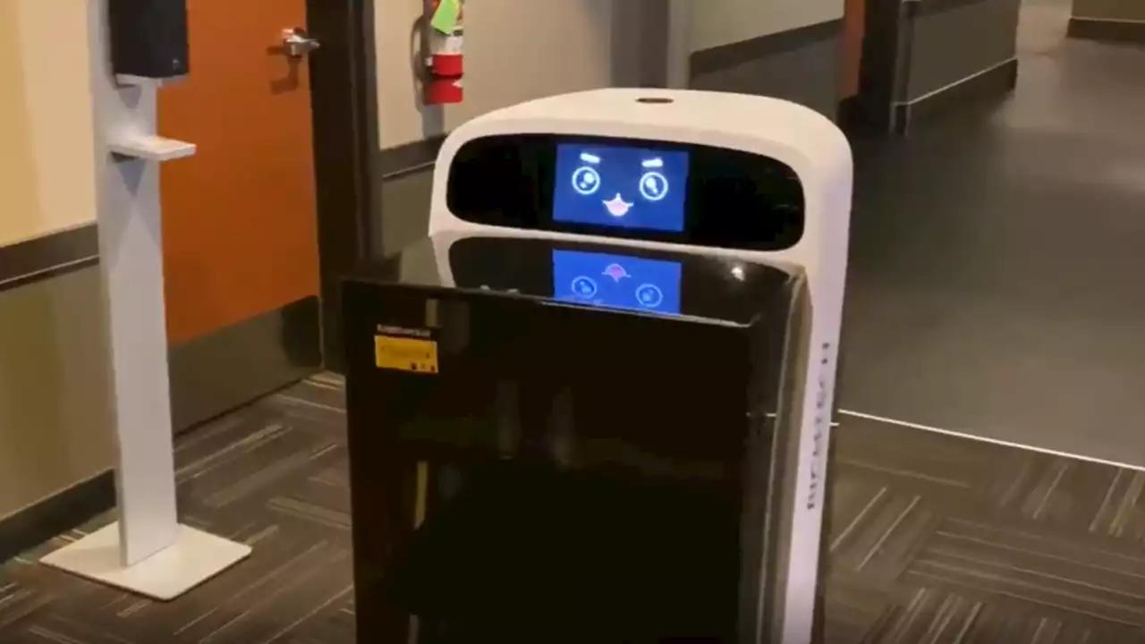 Flix Brewhouse in Round Rock uses 'Brewster' the robot as food runner