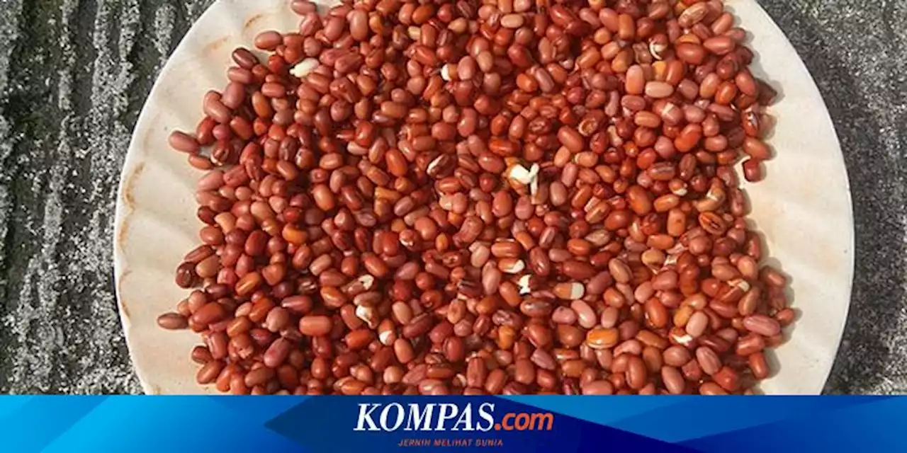 Apa Itu Azuki, Kacang Tinggi Serat yang Populer di Jepang?