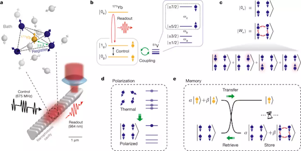 Nuclear spin-wave quantum register for a solid-state qubit - Nature