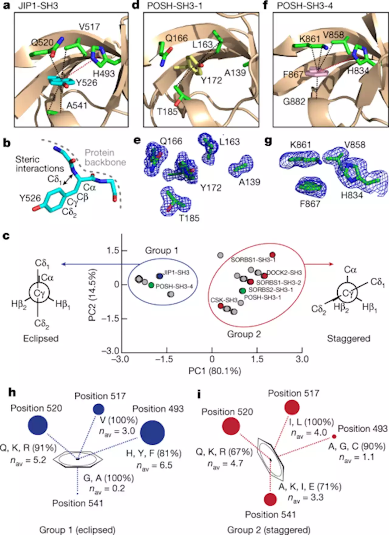 Visualizing protein breathing motions associated with aromatic ring flipping - Nature