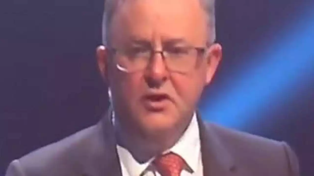Albanese urges closer ties with China in 2018 video
