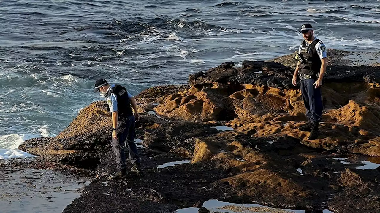 Several Sydney beaches close after first fatal shark attack in decades