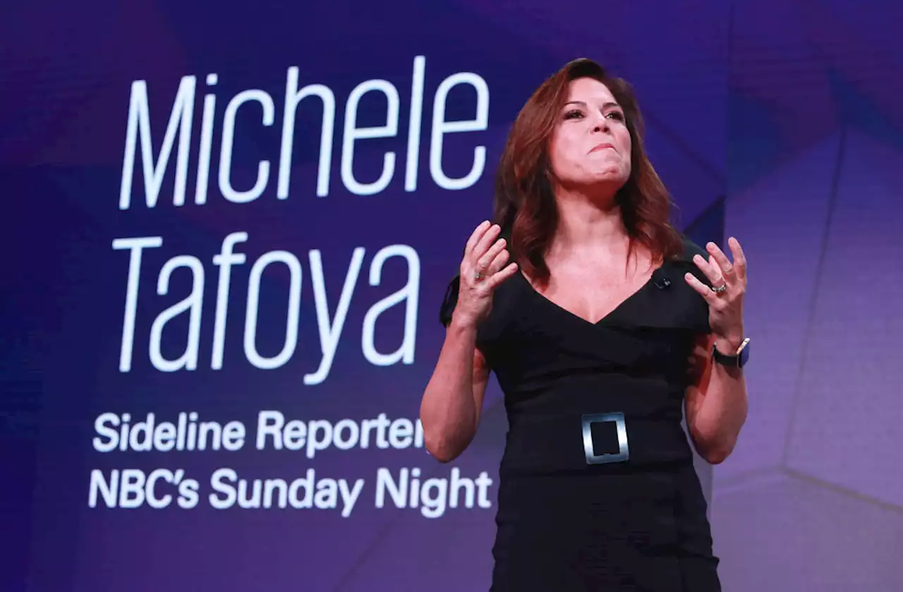 Why Michele Tafoya's political ambitions aren't looking promising