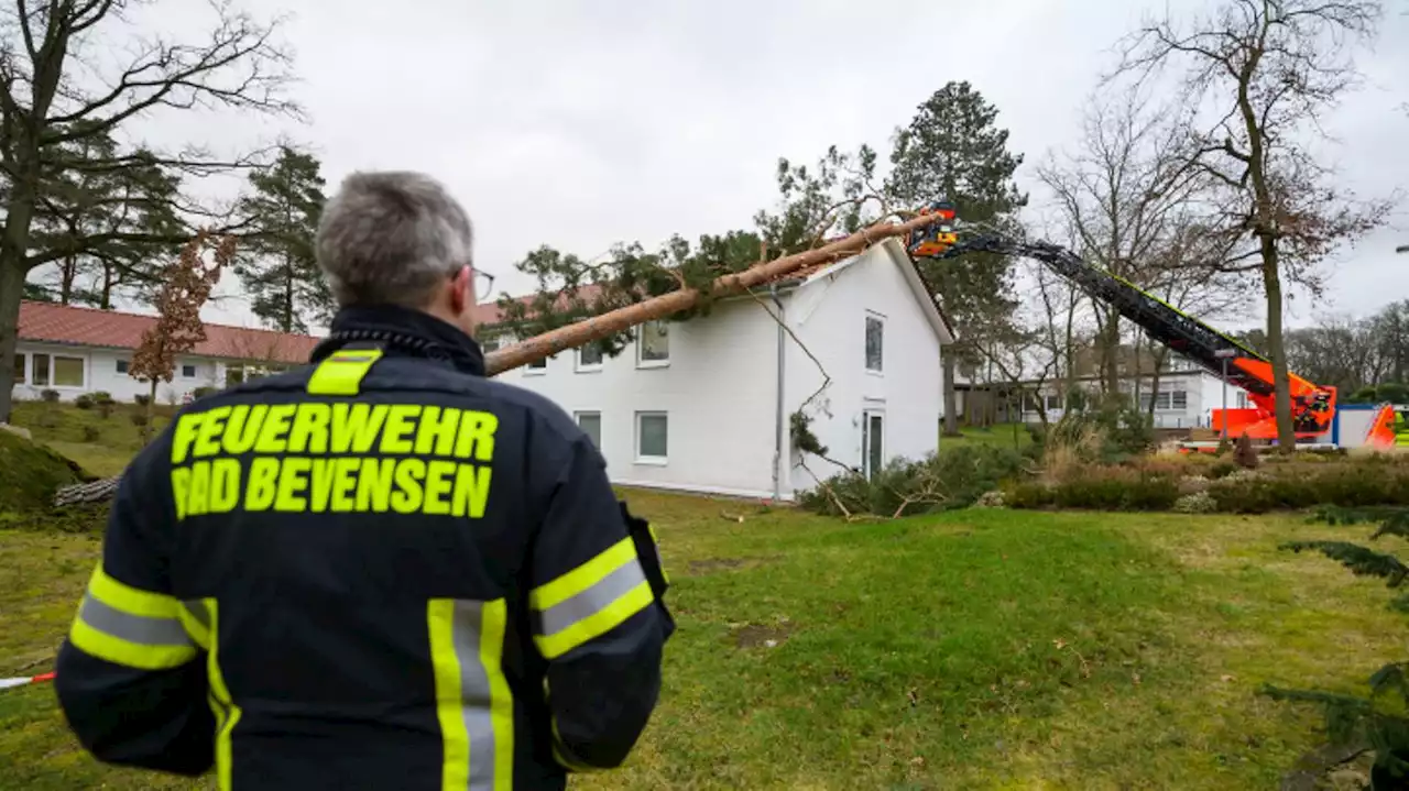 Stromausfall, Verkehrschaos, umgestürzte Bäume – so schlimm wütet das Sturmtief 'Ylenia'