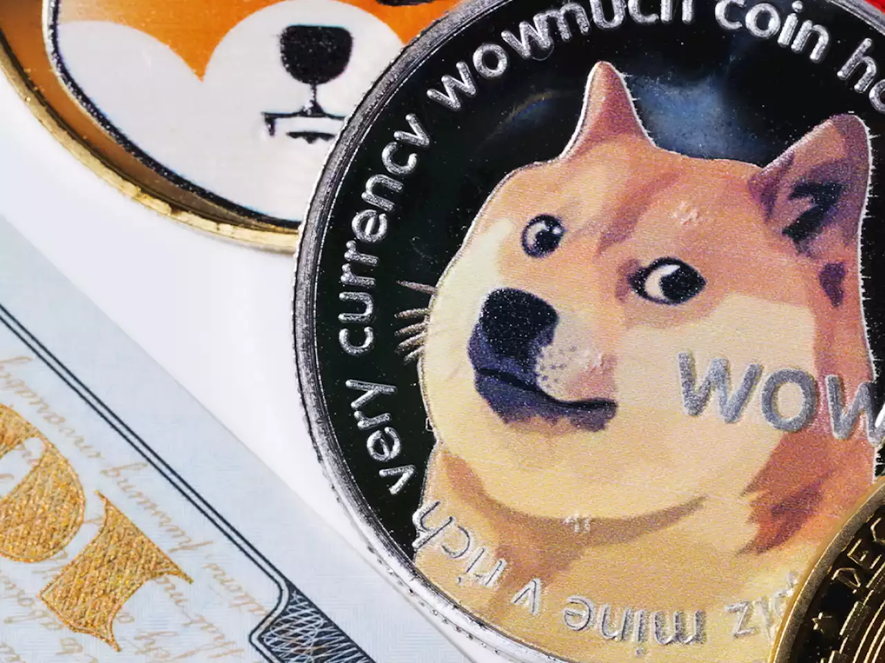 Top Dogecoin Dev Ross Nicoll Says He's Stepping Away from Dogecoin, Here's Why