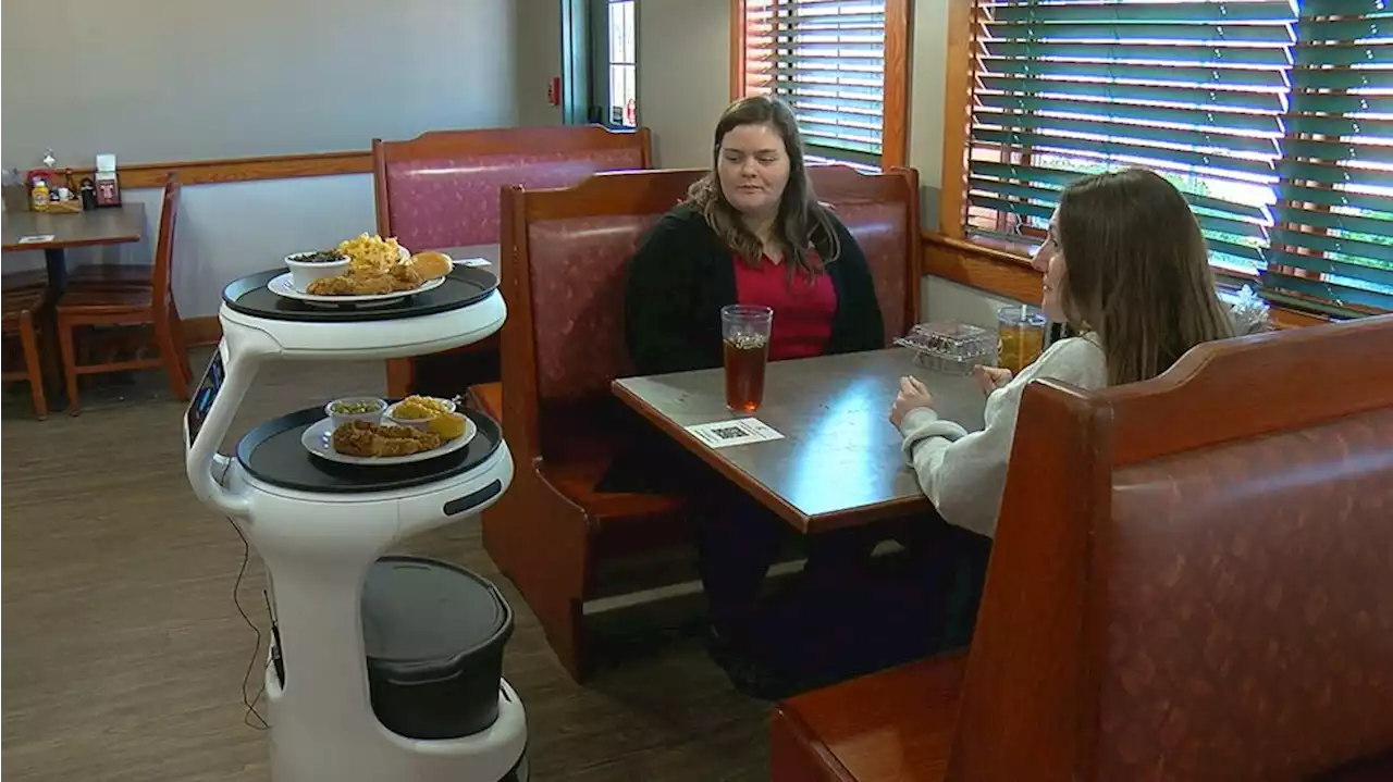 Kemp’s Kitchen “hires” new robot server