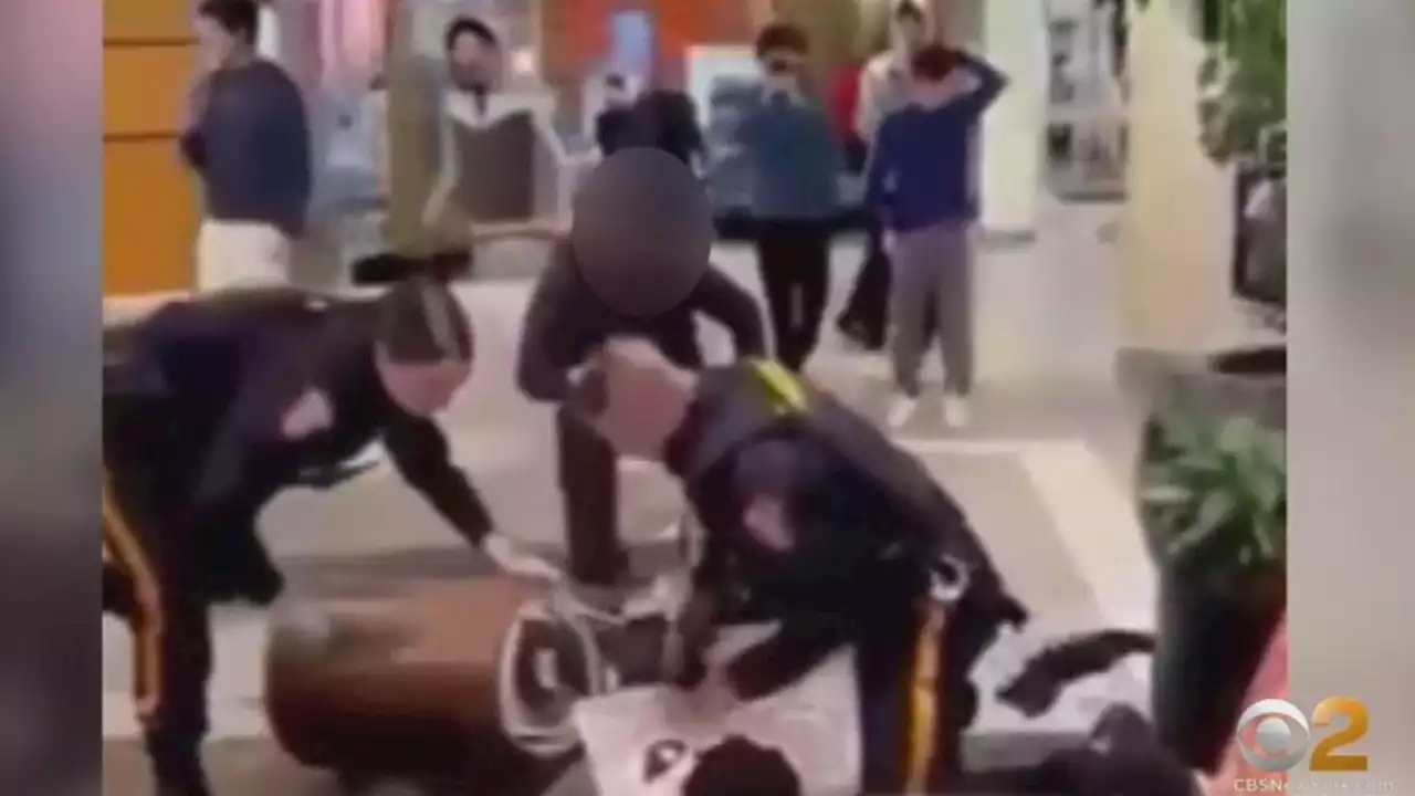 Video of NJ officers breaking up teens' mall fight raises concerns about racial disparity