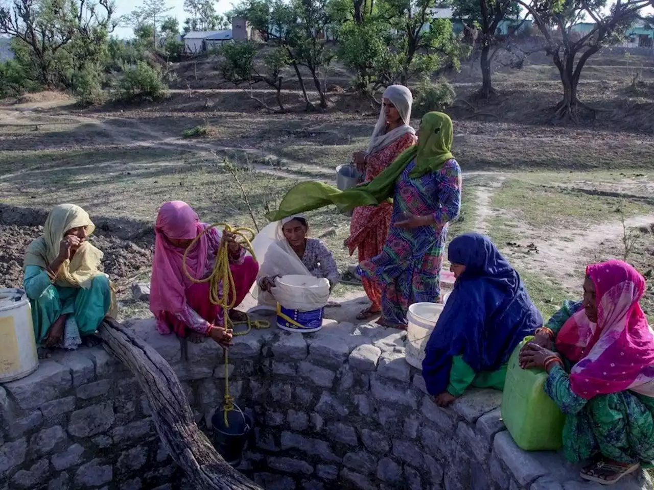 13 die after falling into well in horrific incident during Indian wedding ceremony