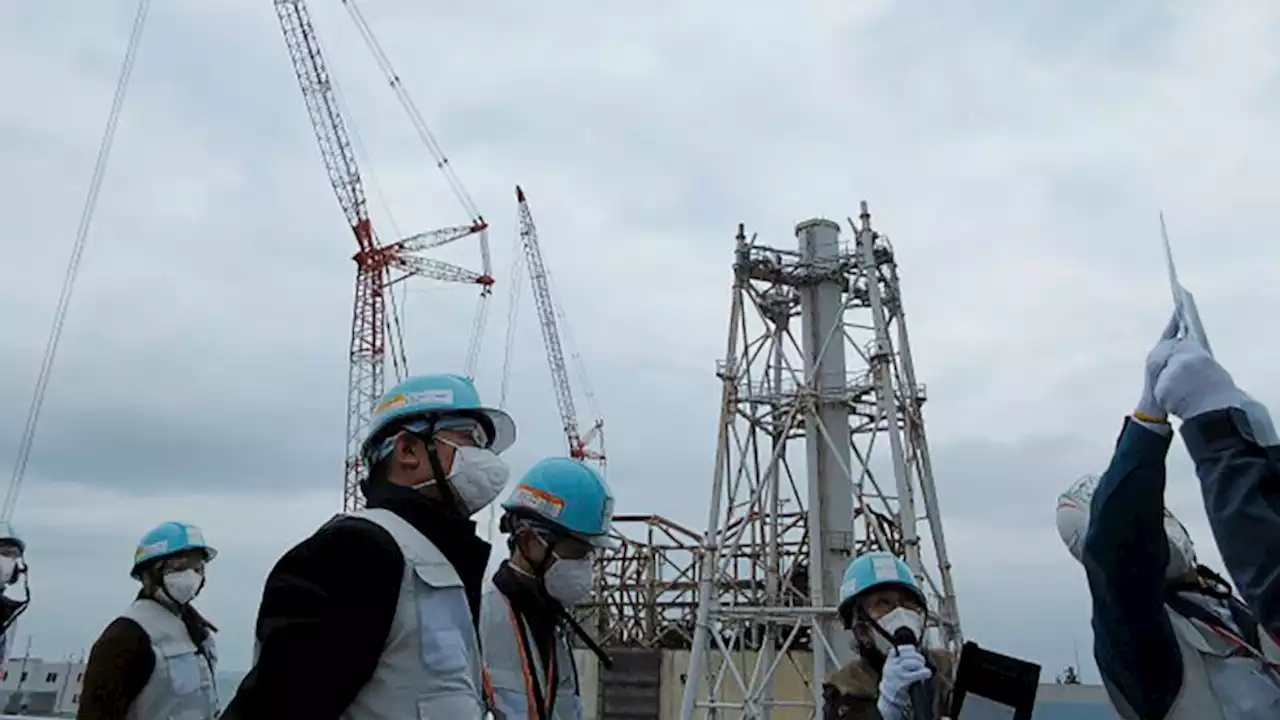 IAEA reviews water release from damaged Japan nuclear plant