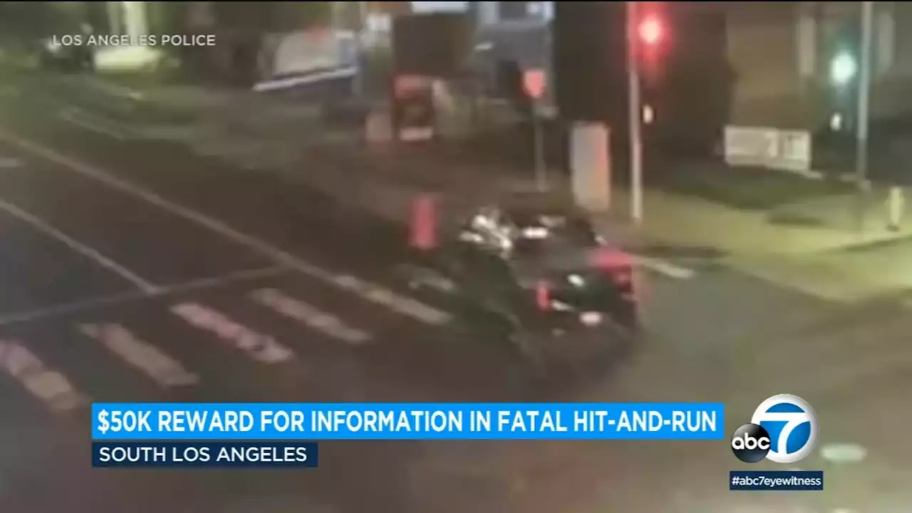 $50,000 reward offered for information on deadly hit-and-run crash in South LA