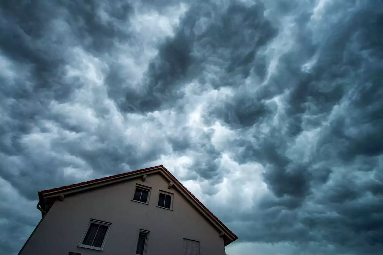 Sturm in Berlin: So finden Hausbesitzer unsichtbare Schäden