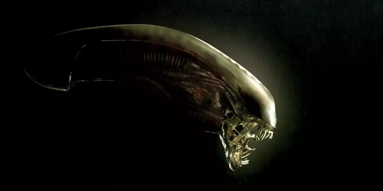 ‘Alien’ TV Series: FX Chief Teases “Big Surprises” For Fans