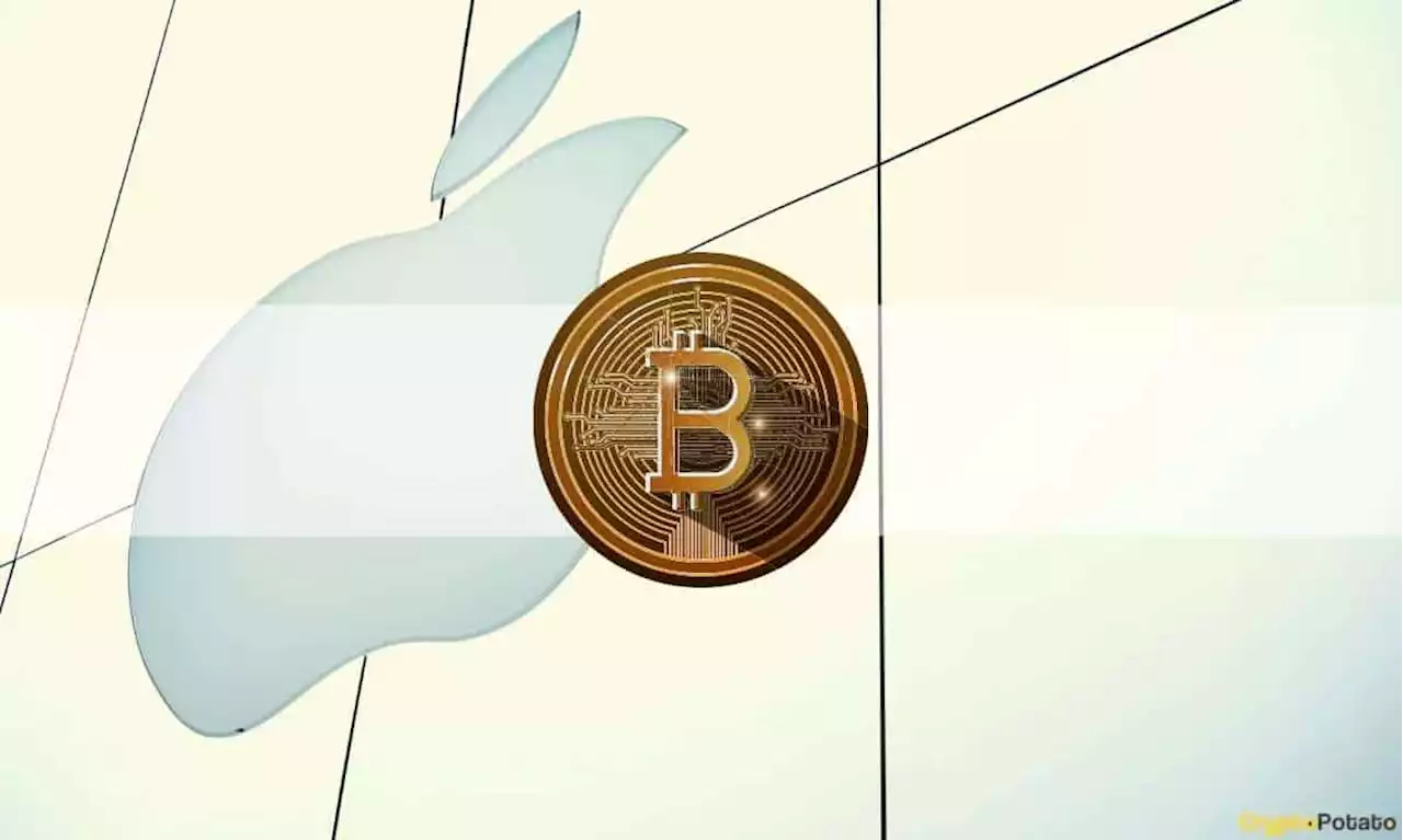 Fidelity Director Explains Why Bitcoin Price Will Continue Increasing, Compares BTC to Apple