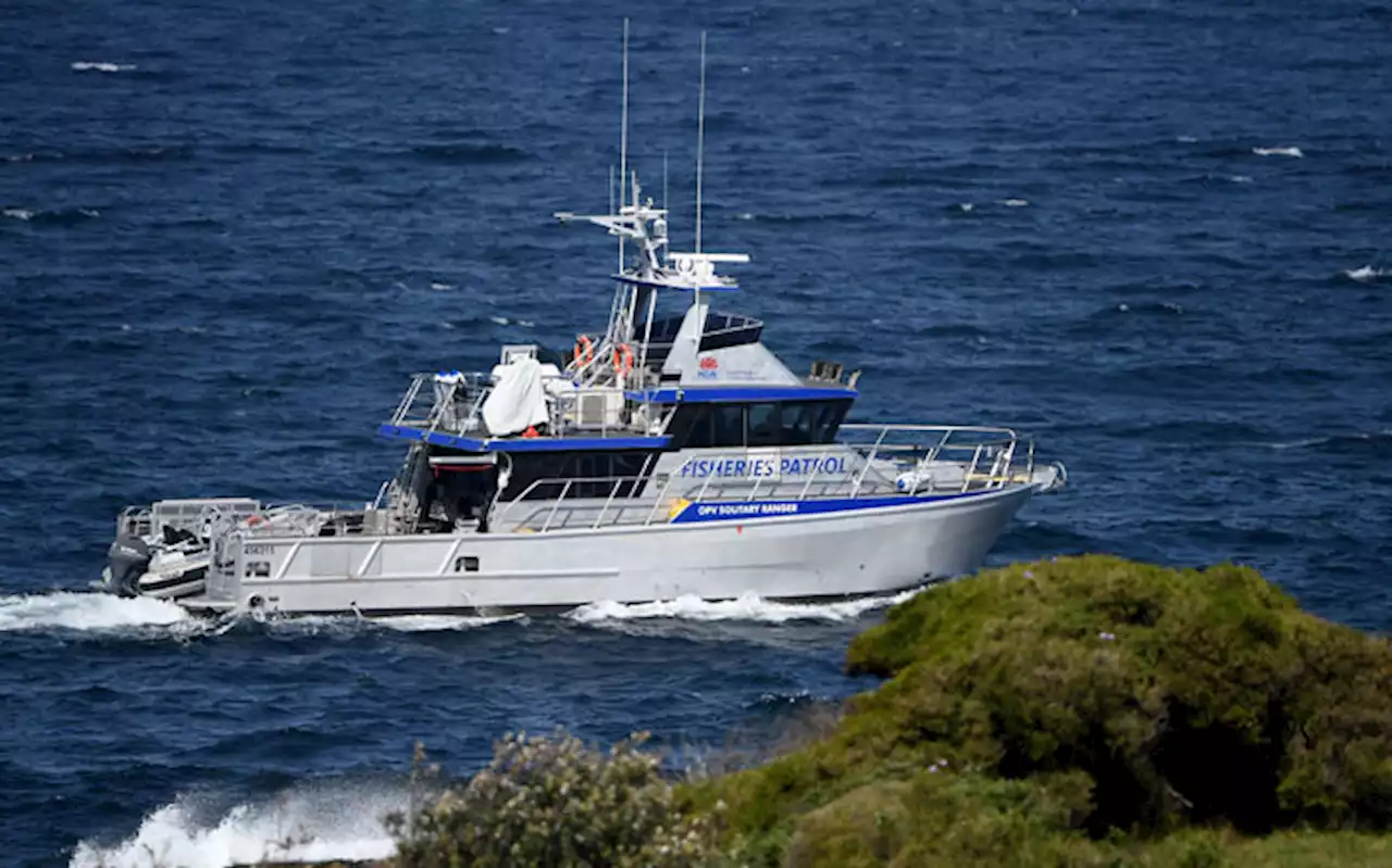 Sydney reopens beaches after fatal shark attack