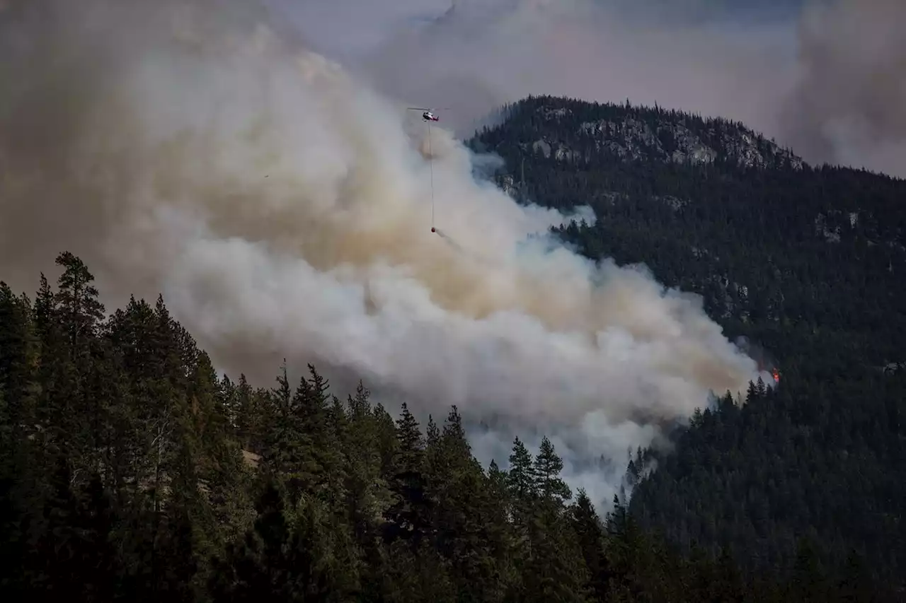 Rays of hope emerge in rebuild of Lytton, B.C., months after wildfire