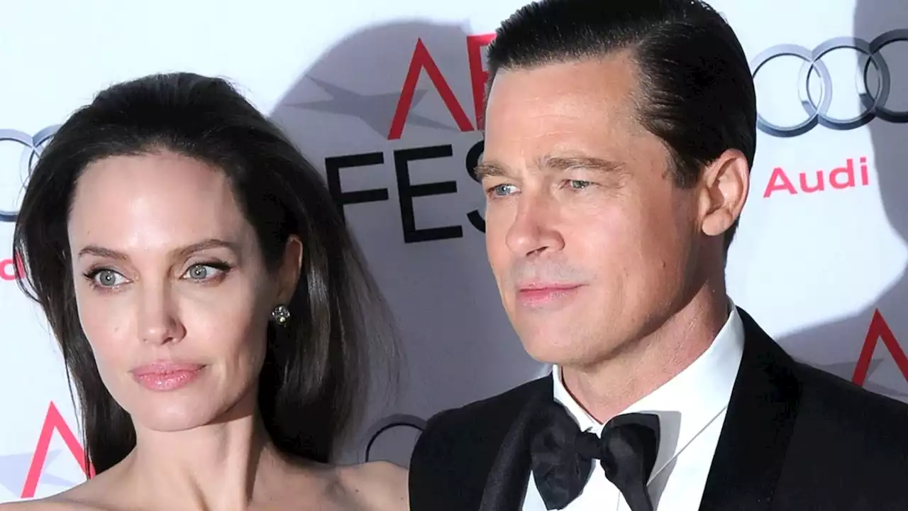 Brad Pitt Isn't Feeling Too Rosé About Angelina Jolie Selling Her Share of Their Winery