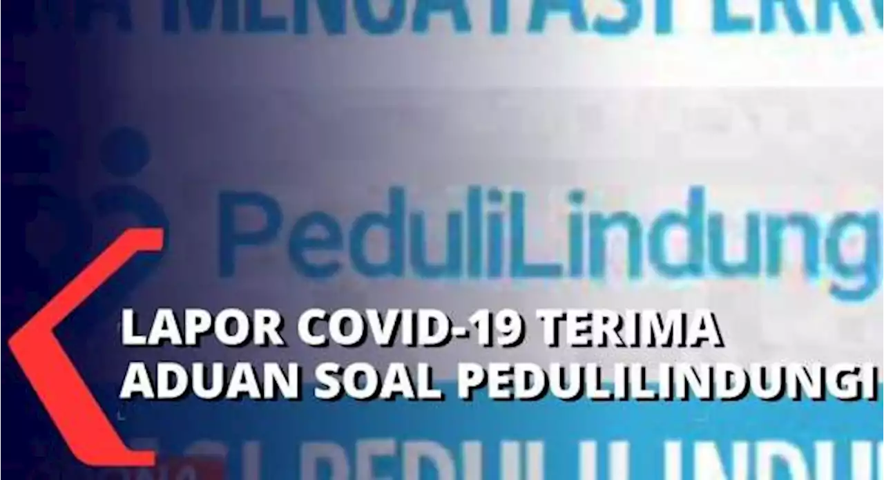 Banyak Aduan Warga yang Diterima Lapor Covid-19, Aplikasi PeduliLindungi Belum Optimal