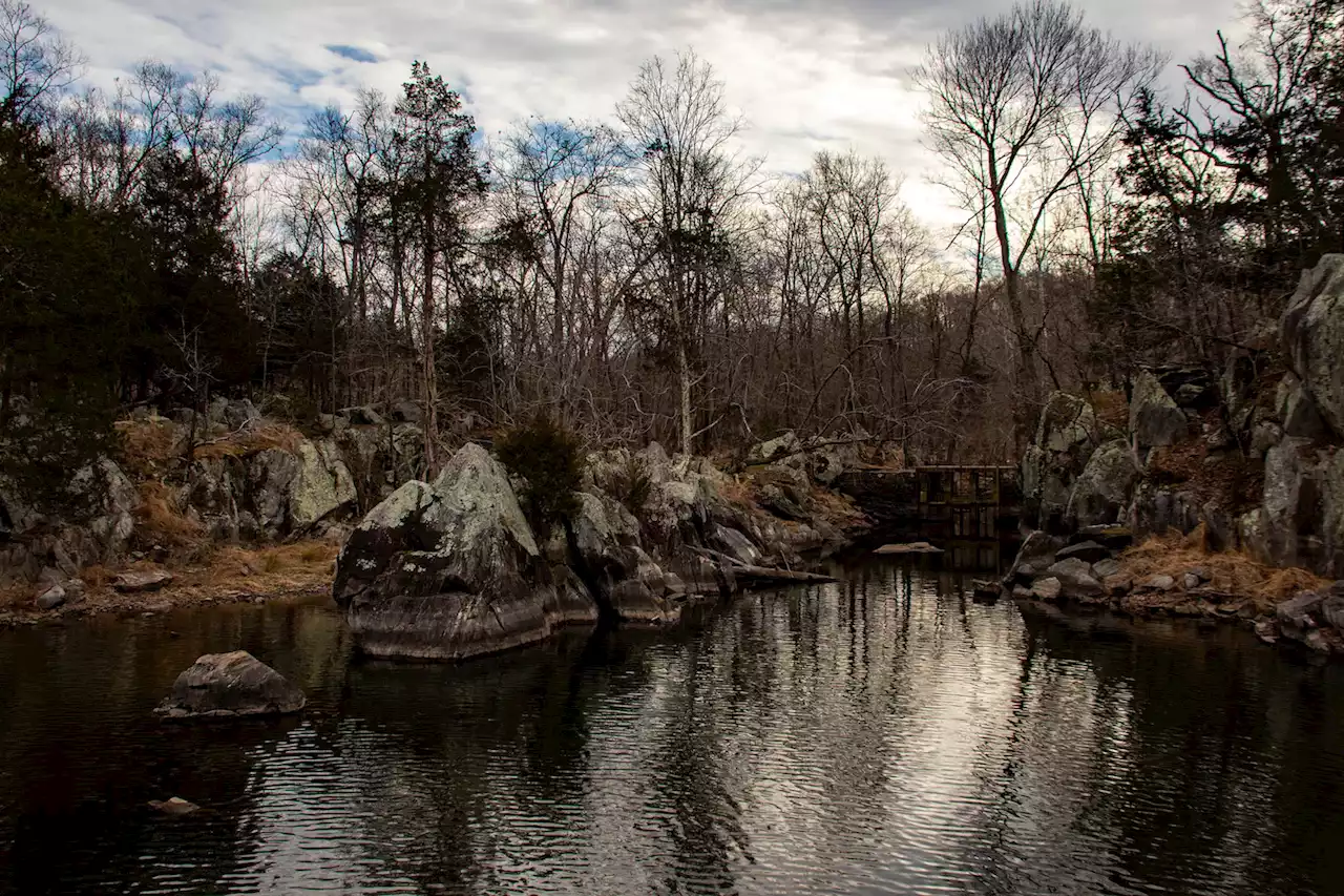 D.C.-area forecast: Skies trend clear as gusty winds continue through the day