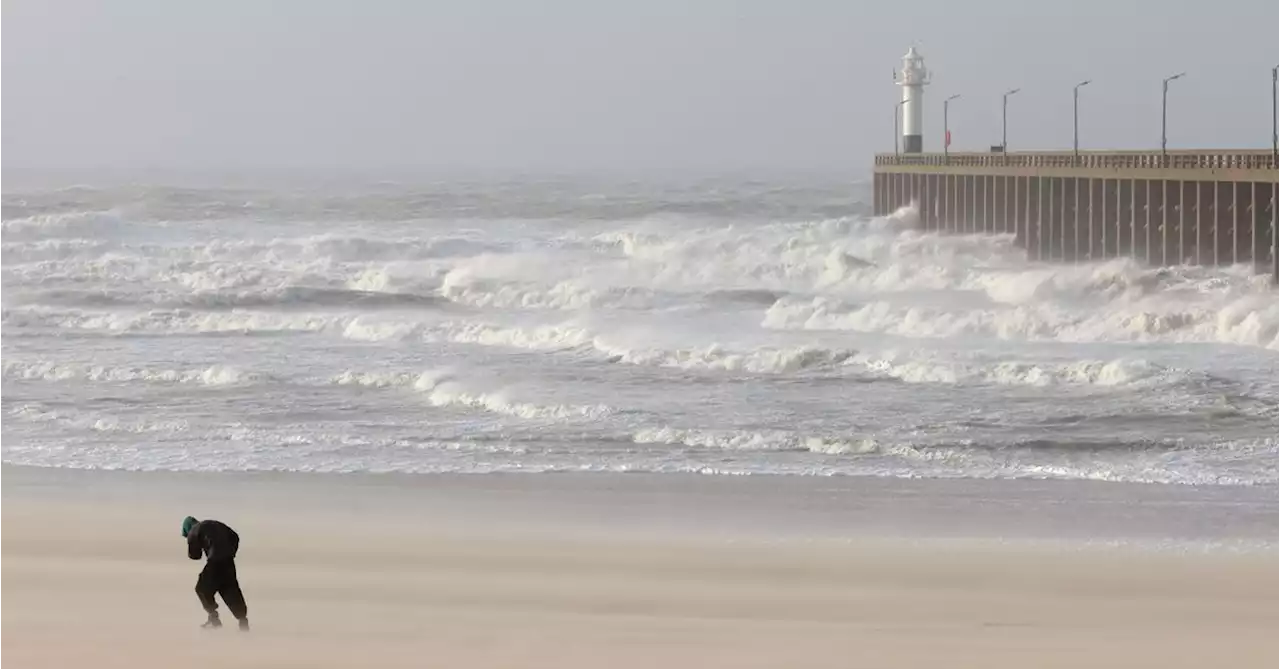 Storm Eunice sends crane crashing onto Belgian hospital