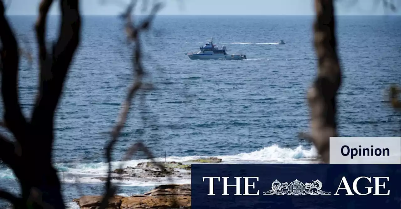 Why a great white shark was swimming off a Sydney beach