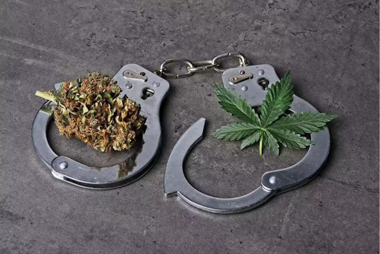 Soldier taking Army course caught with 81 parcels of dried cannabis leaves