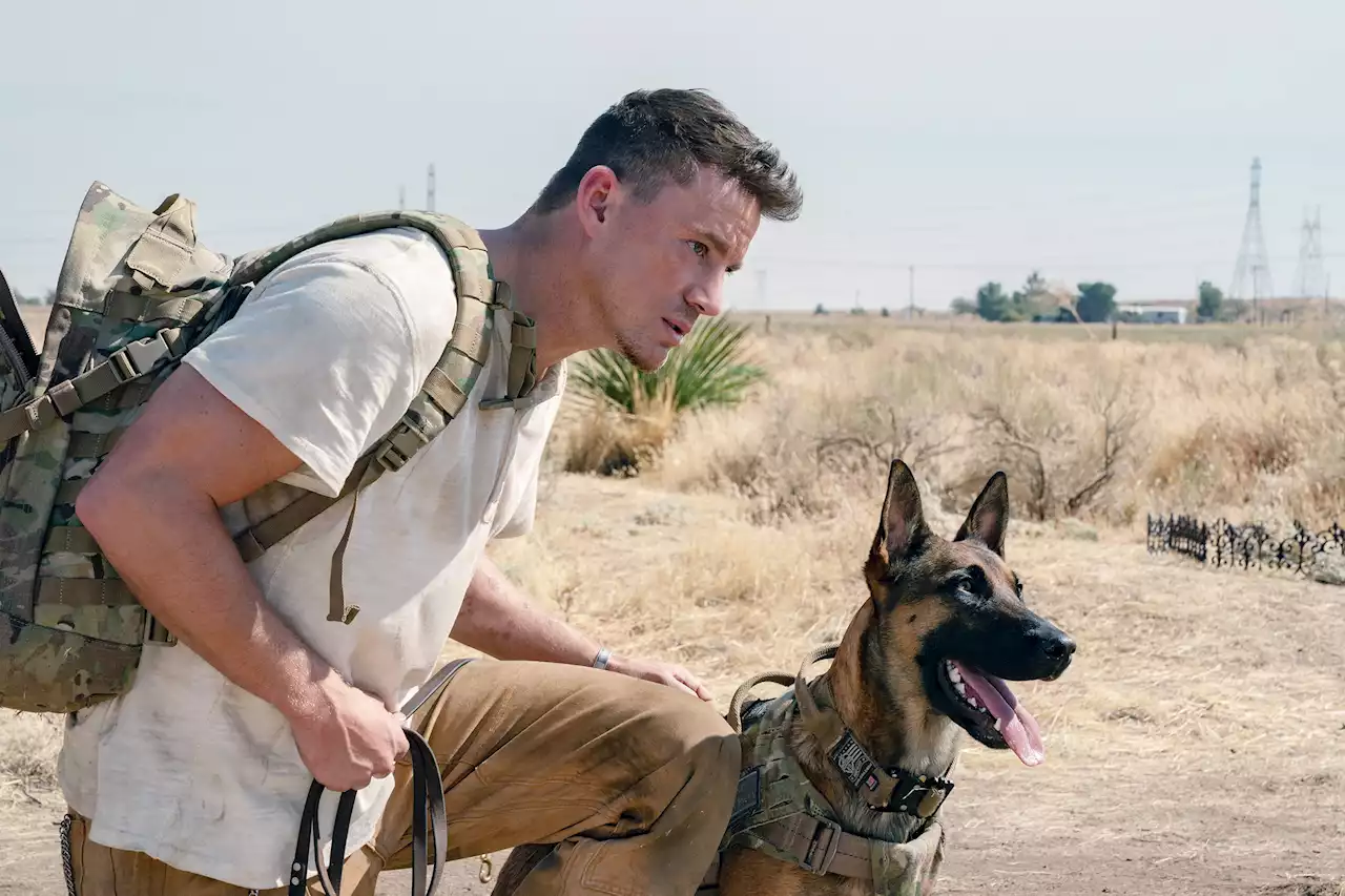 Channing Tatum Will Make You Believe in 'Dog'