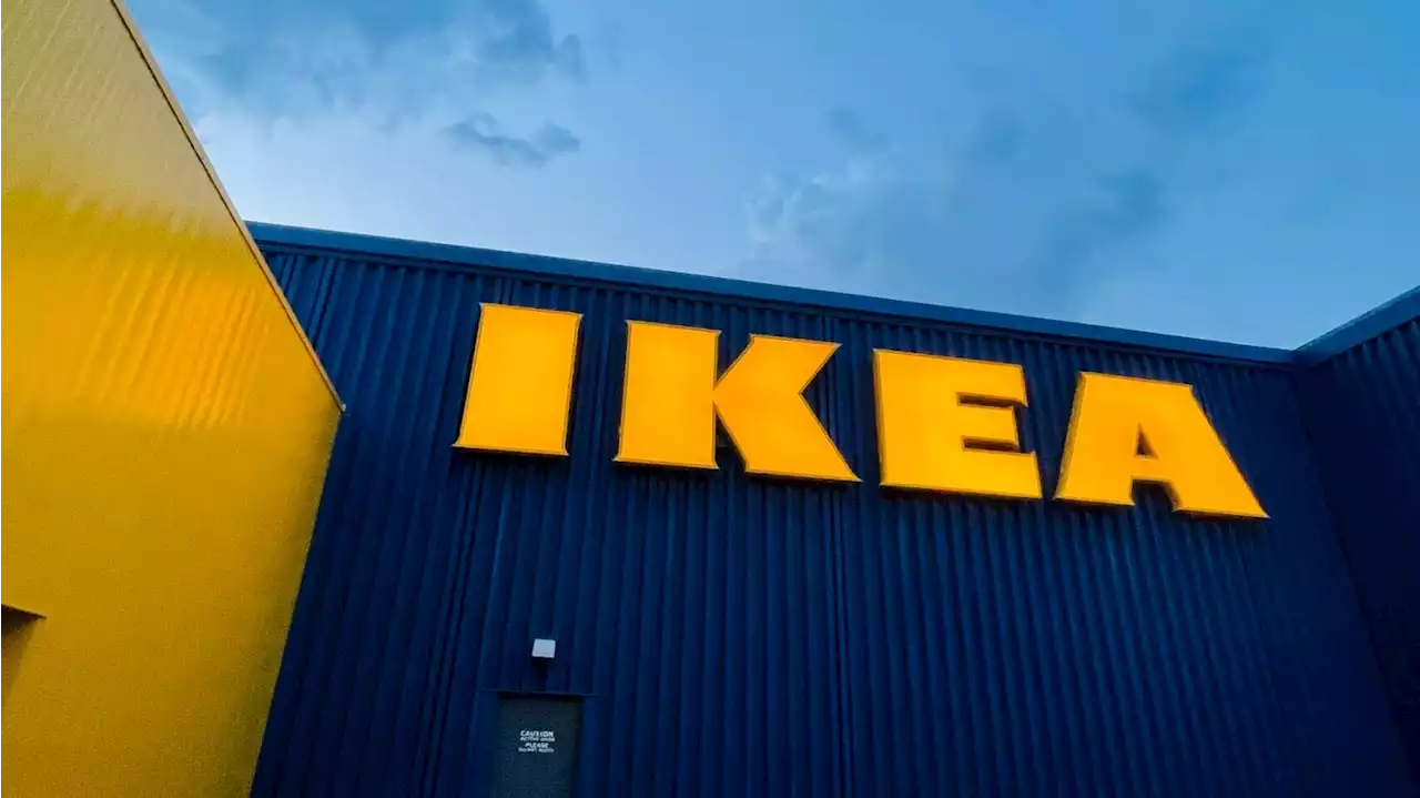 TikTok creators share their Ikea favorites