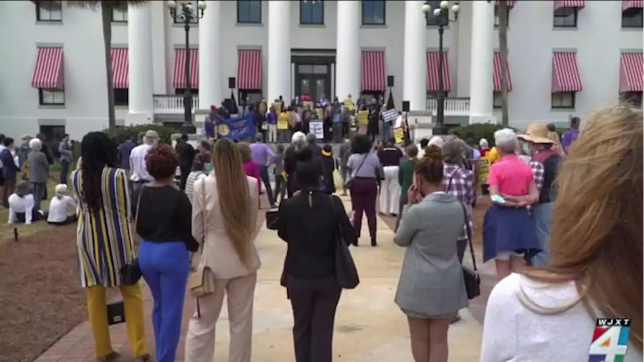 Floridians take to Tallahassee to protest controversial proposed mail ballot requirements